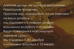 Gravcam новогодние каникулы